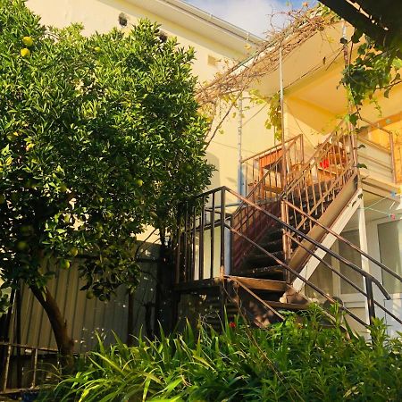 Hotel Гостевой Дом «Лиза» Gagra Exterior foto