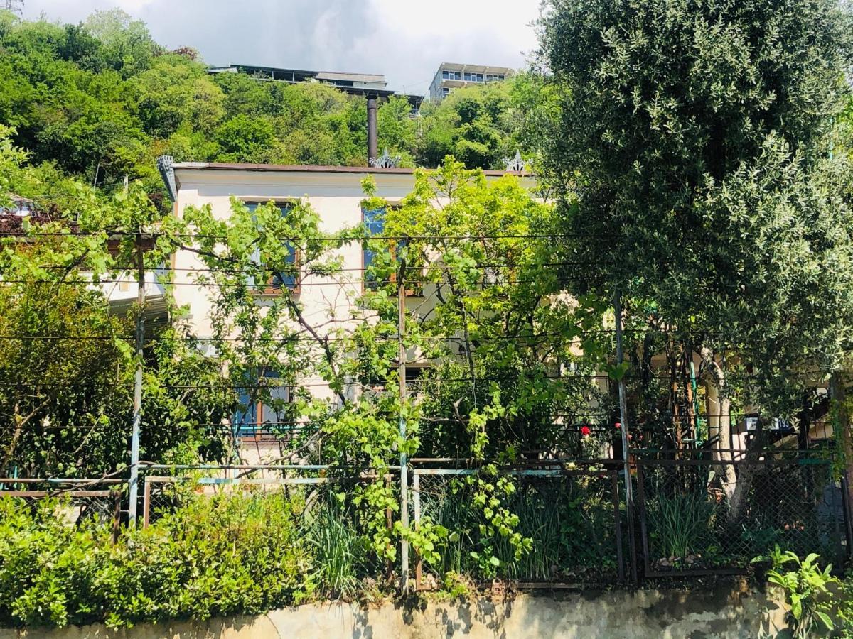 Hotel Гостевой Дом «Лиза» Gagra Exterior foto
