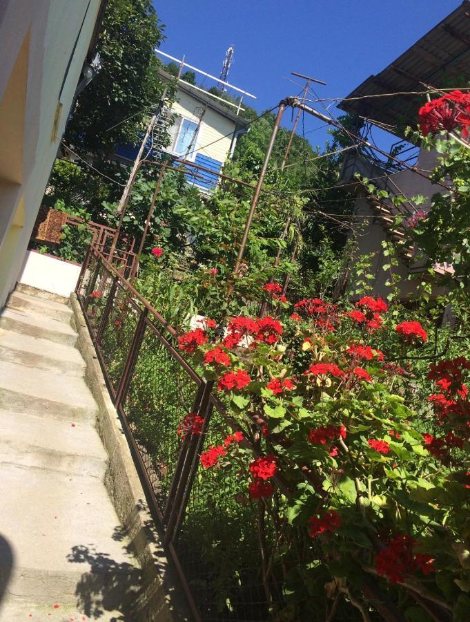 Hotel Гостевой Дом «Лиза» Gagra Exterior foto